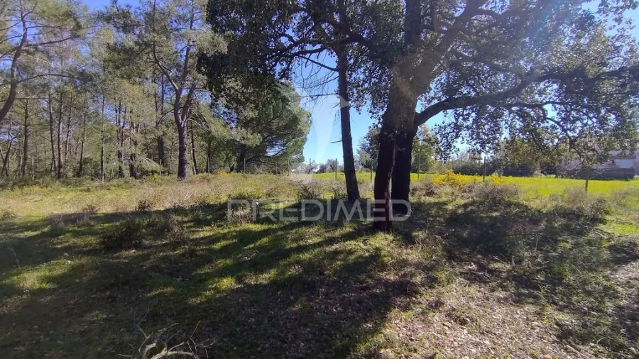 Terreno para Venda em Santa Margarida da Coutada Foto 17