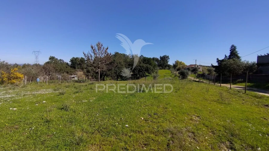 Terreno para Venda em Santa Margarida da Coutada Foto 9