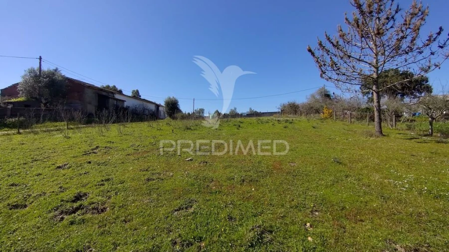 Terreno para Venda em Santa Margarida da Coutada Foto 12