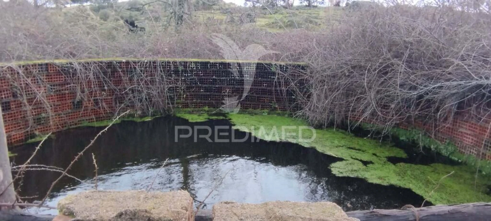 Terreno para Venda em Santa Maria da Devesa Foto 5
