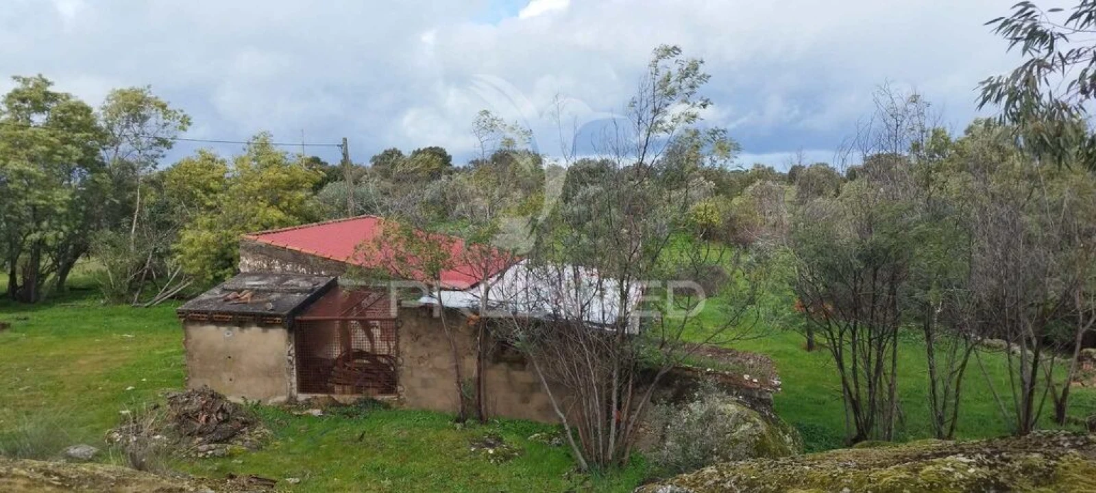 Terreno para Venda em Santa Maria da Devesa Foto 19