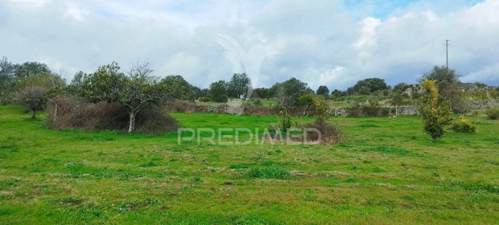 Terreno para Venda em Santa Maria da Devesa Foto 11