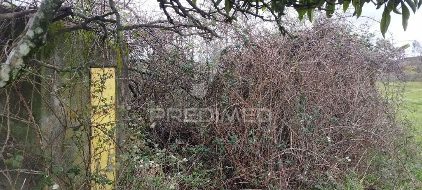 Terreno para Venda em Santa Maria da Devesa Foto 12