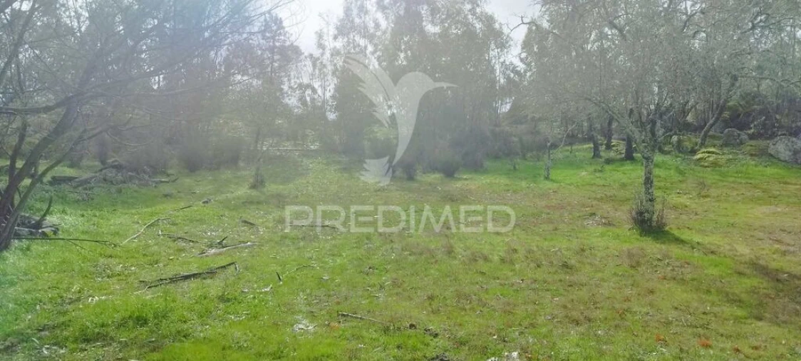 Terreno para Venda em Santa Maria da Devesa Foto 13