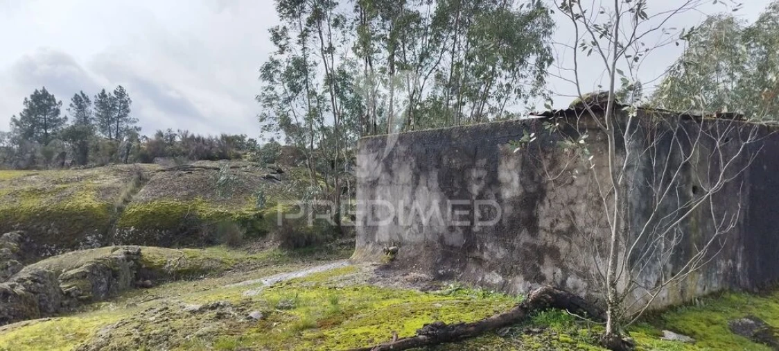 Terreno para Venda em Santa Maria da Devesa Foto 8