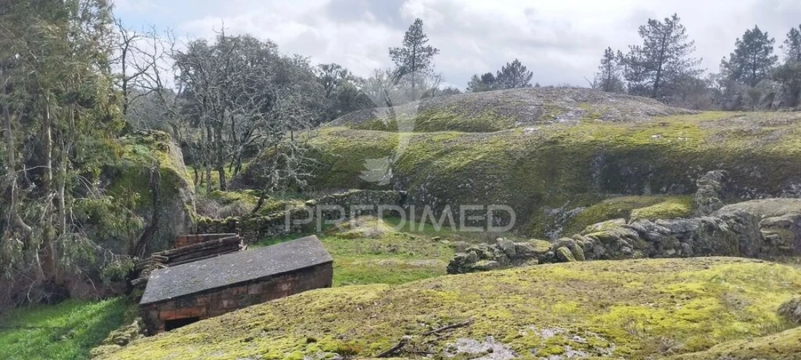 Terreno para Venda em Santa Maria da Devesa Foto 14