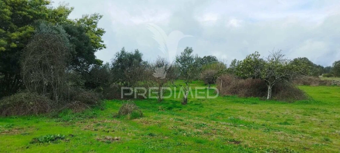 Terreno para Venda em Santa Maria da Devesa Foto 17