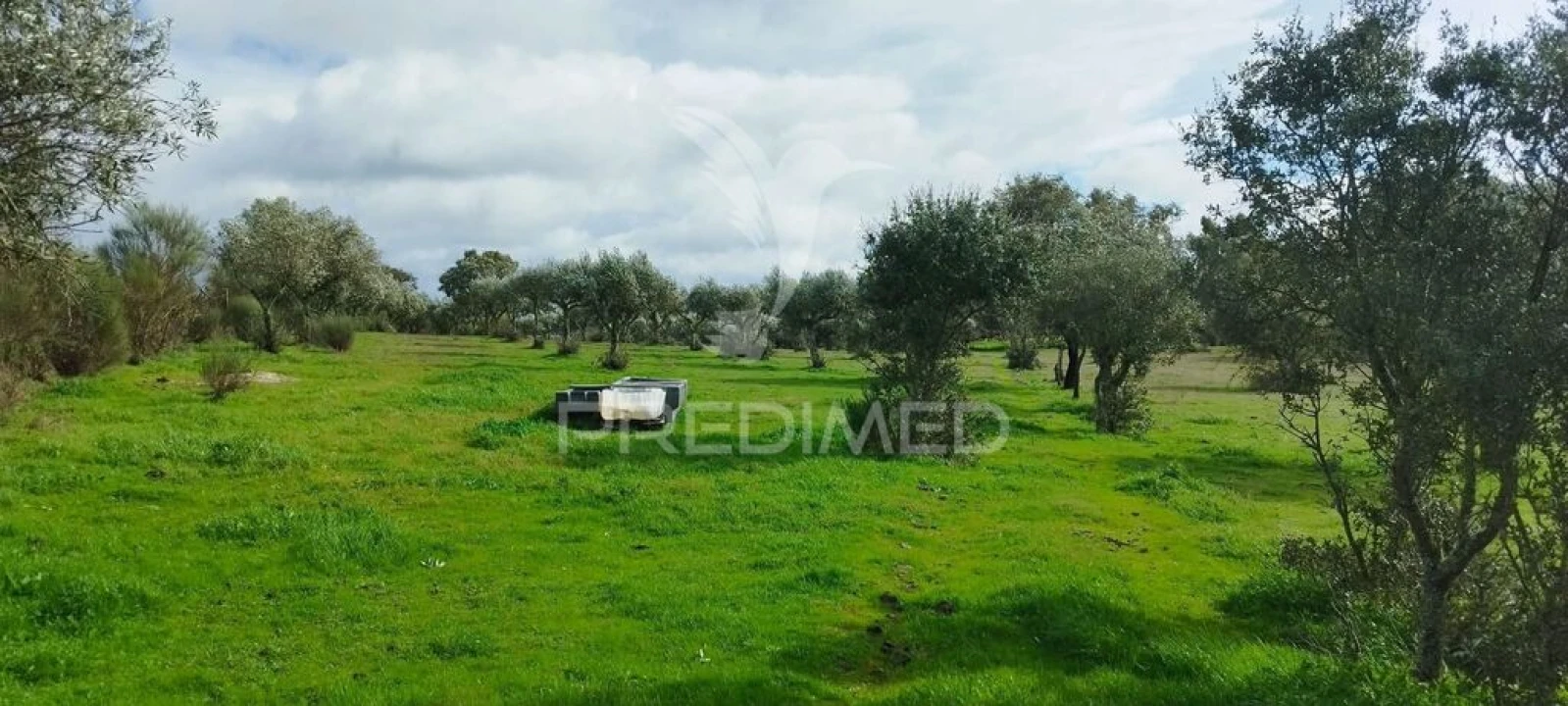 Terreno para Venda em Santa Maria da Devesa Foto 15