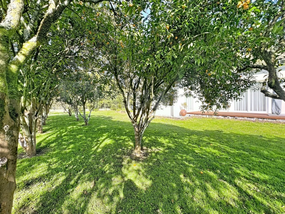 Moradia T4 para Venda em Caminha (Matriz) e Vilarelho Foto 43