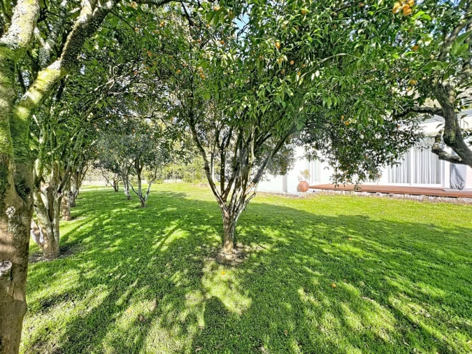 Moradia T4 para Venda em Caminha (Matriz) e Vilarelho Foto 43