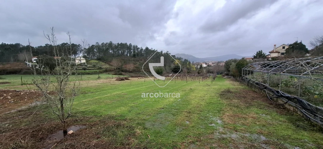 Terreno para Venda em Arca e Ponte de Lima Foto 8