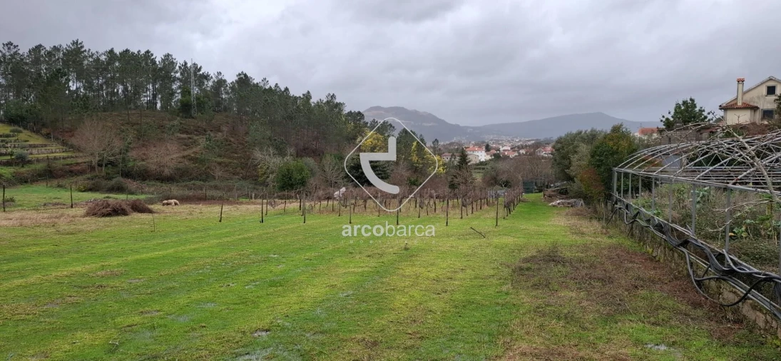 Terreno para Venda em Arca e Ponte de Lima Foto 4