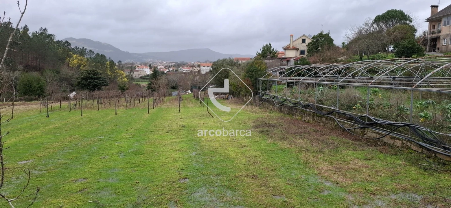 Terreno para Venda em Arca e Ponte de Lima Foto 3