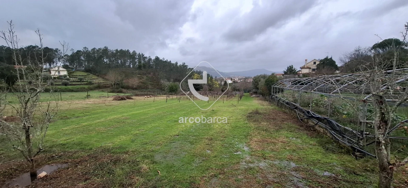 Terreno para Venda em Arca e Ponte de Lima Foto 7
