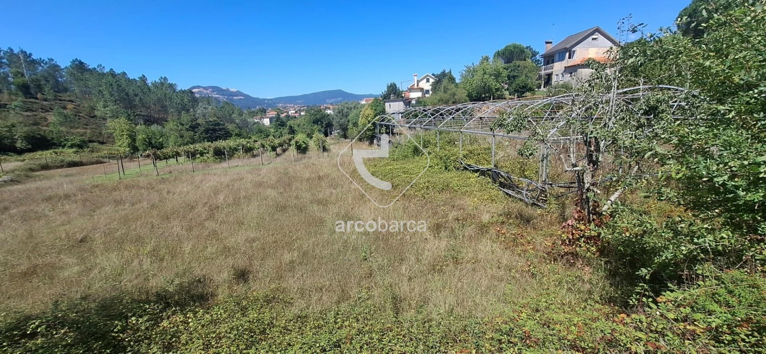 Terreno para Venda em Arca e Ponte de Lima Foto 7