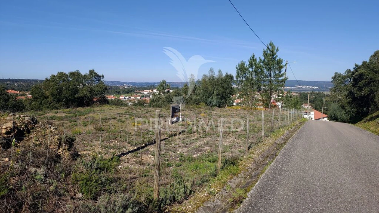 Terreno para Venda em Santa Margarida da Coutada Foto 2