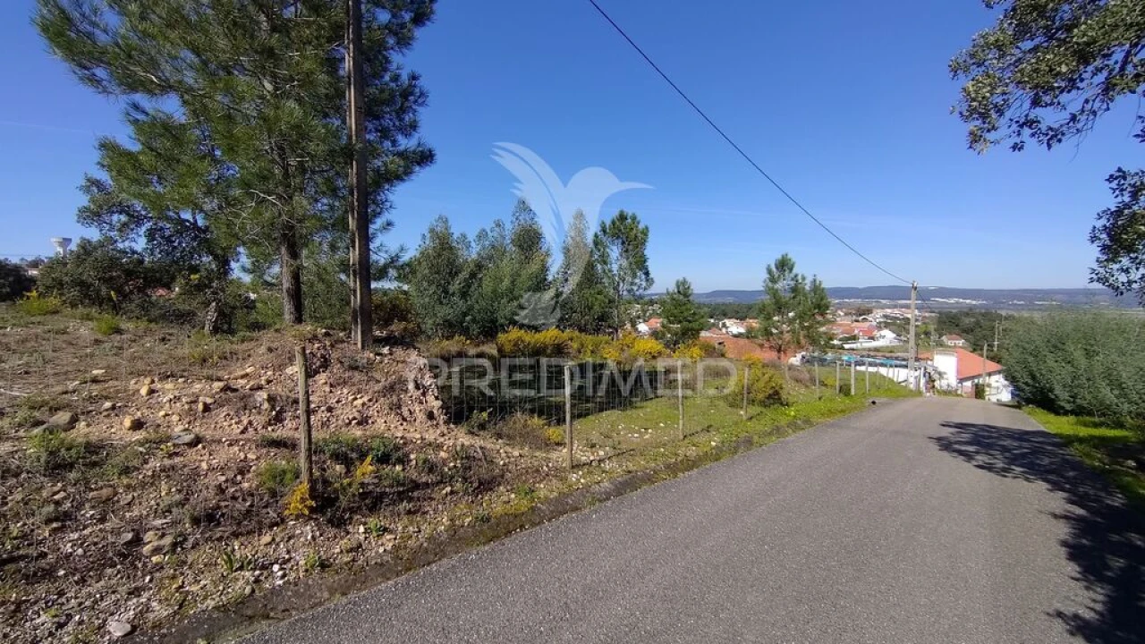 Terreno para Venda em Santa Margarida da Coutada Foto 9