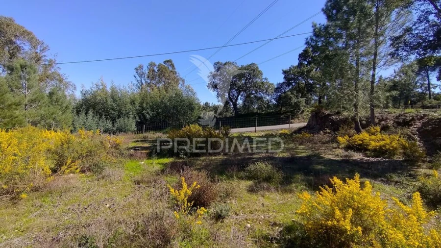 Terreno para Venda em Santa Margarida da Coutada Foto 15