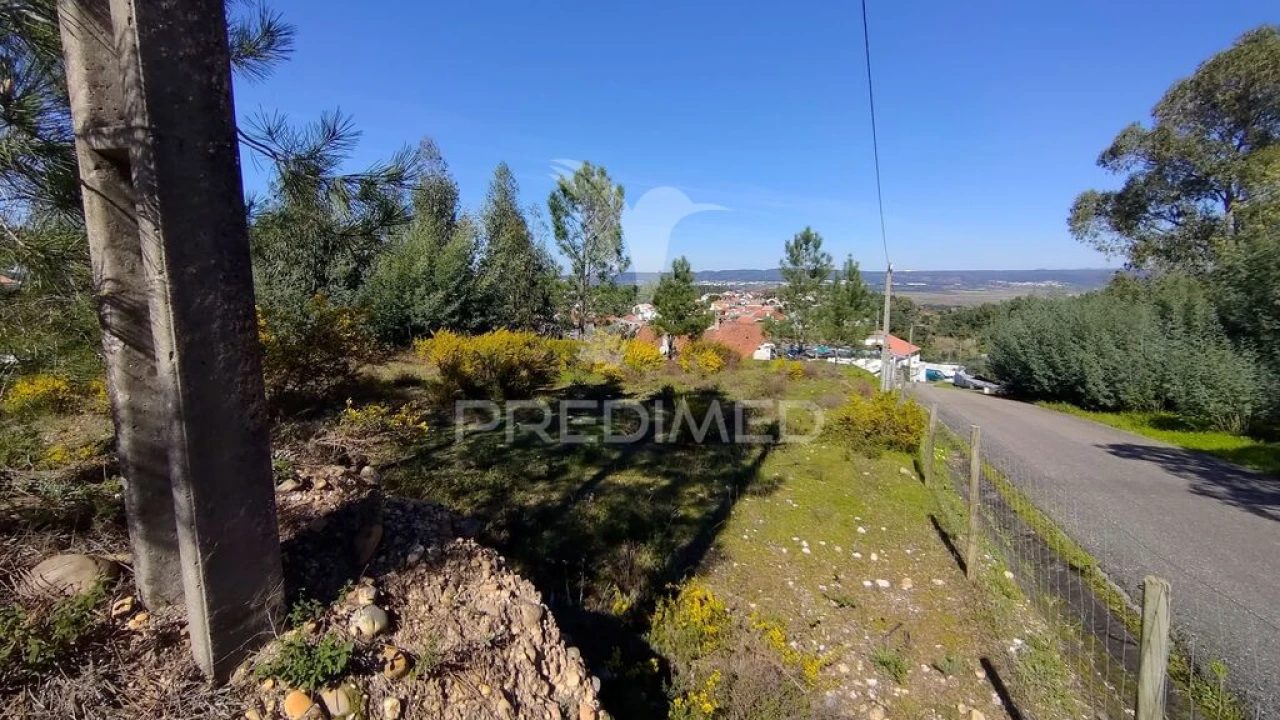 Terreno para Venda em Santa Margarida da Coutada Foto 19