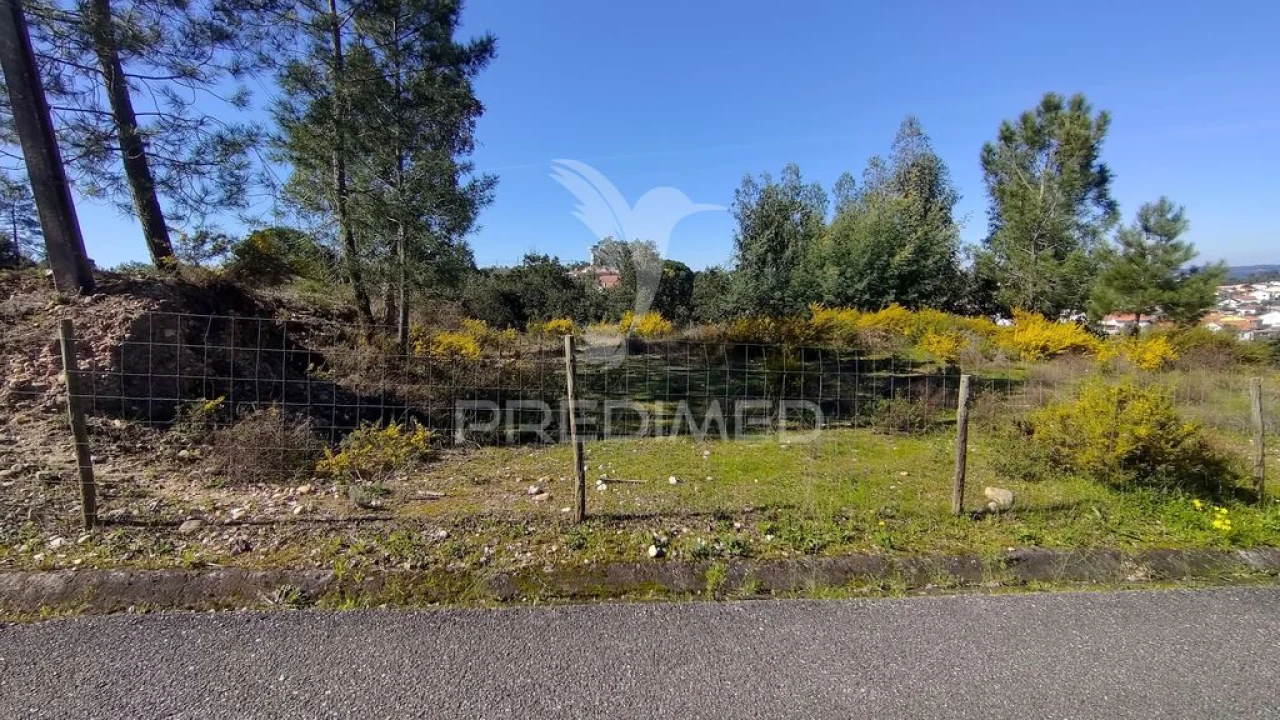 Terreno para Venda em Santa Margarida da Coutada Foto 10