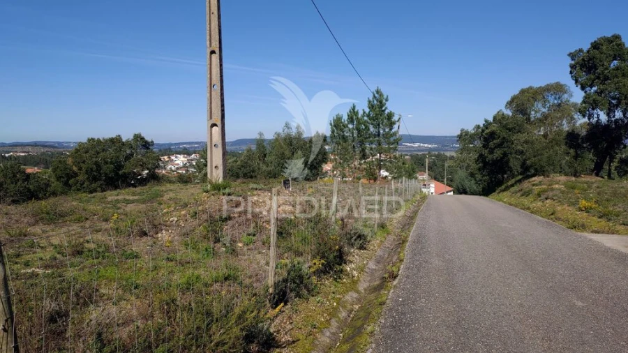 Terreno para Venda em Santa Margarida da Coutada