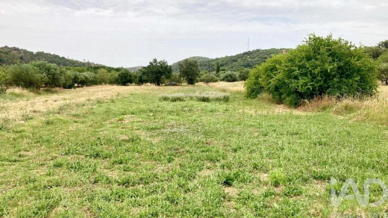 Terreno para Venda em São Brás de Alportel Foto 5