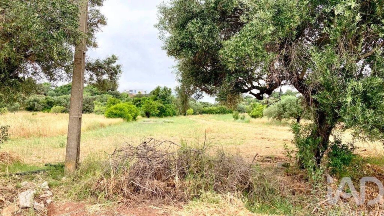 Terreno para Venda em São Brás de Alportel Foto 7