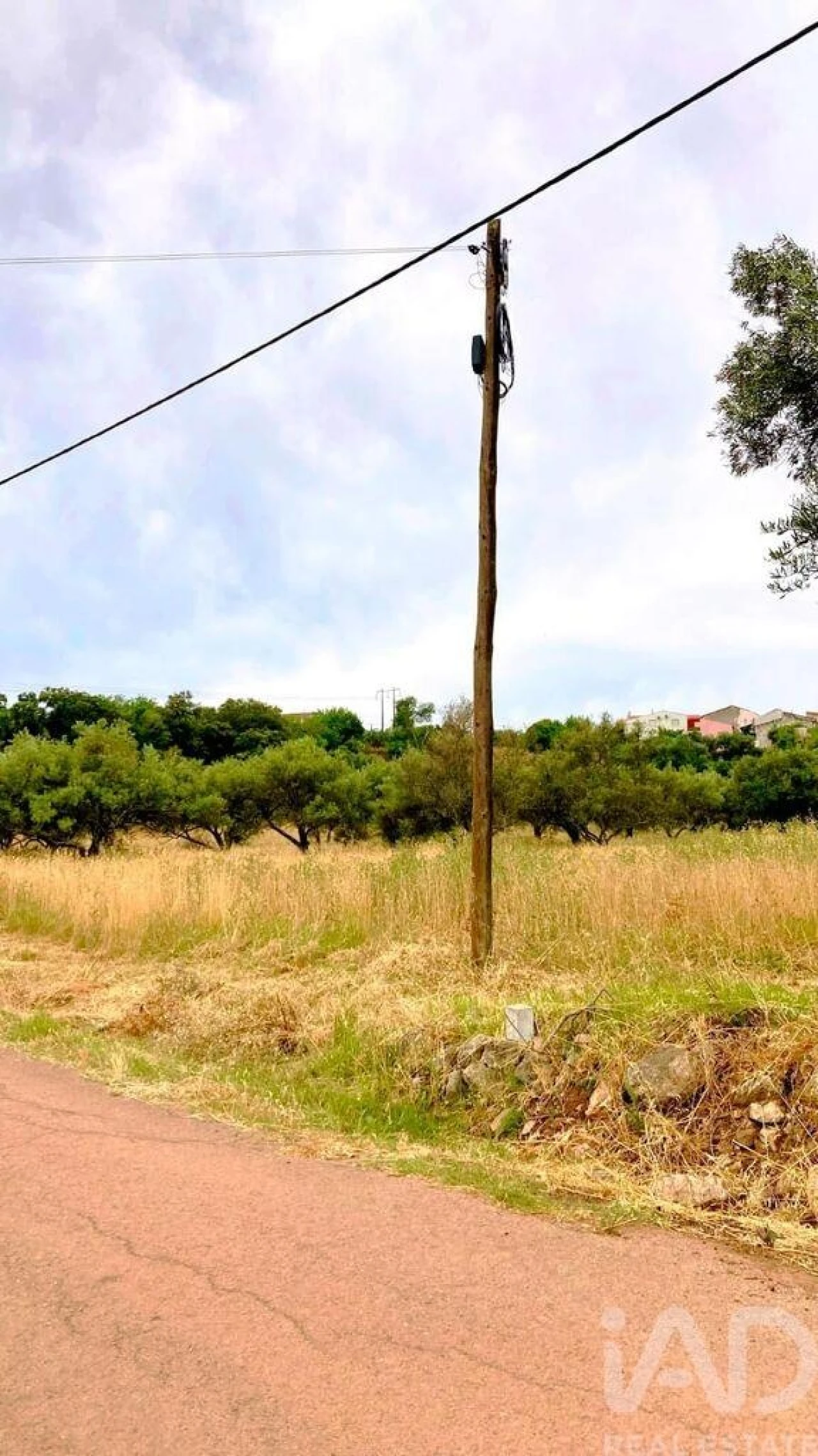 Terreno para Venda em São Brás de Alportel Foto 10