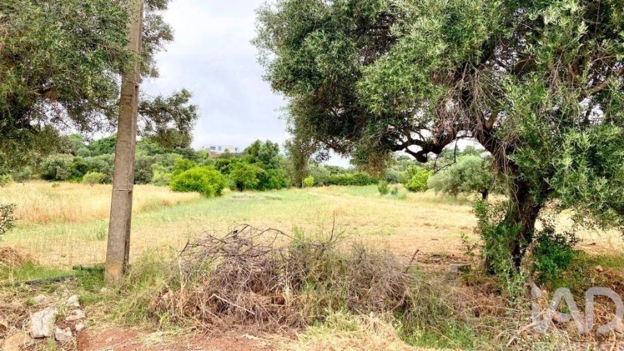 Terreno para Venda em São Brás de Alportel Foto 7