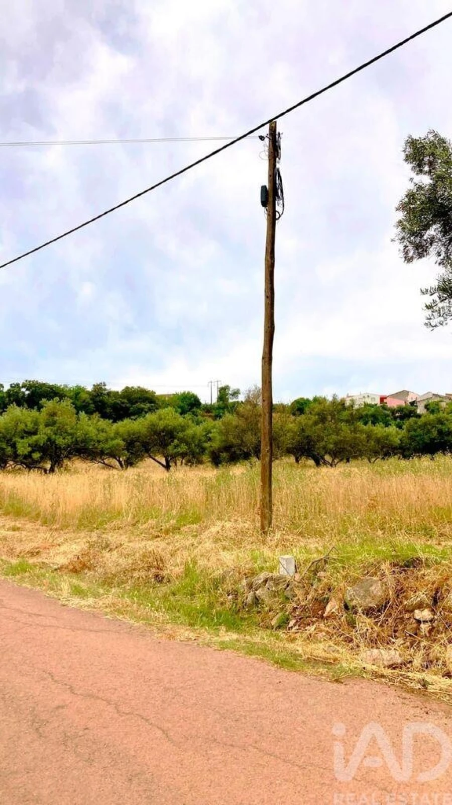Terreno para Venda em São Brás de Alportel Foto 10