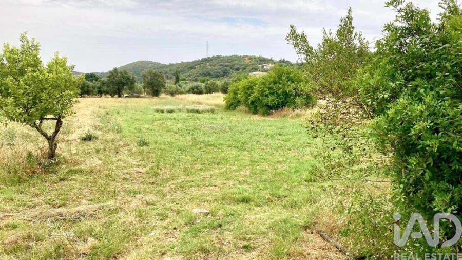 Terreno para Venda em São Brás de Alportel Foto 3