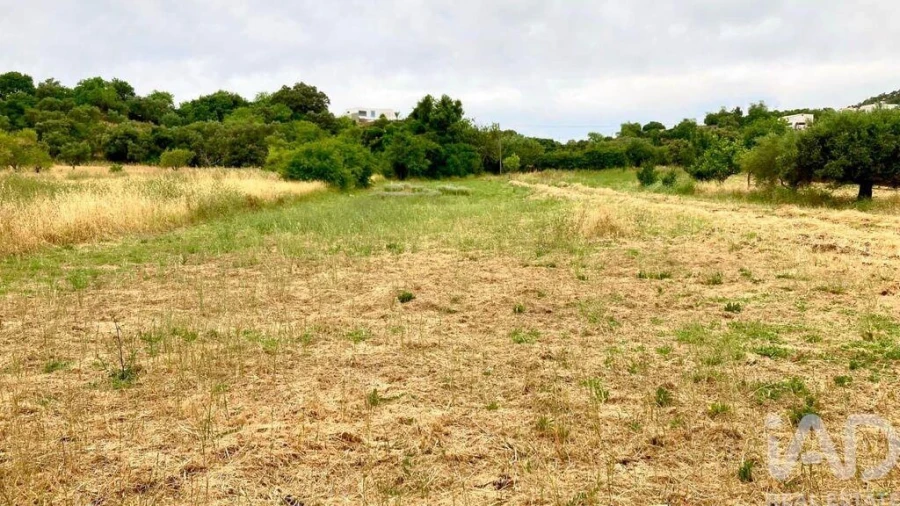 Terreno para Venda em São Brás de Alportel Foto 9