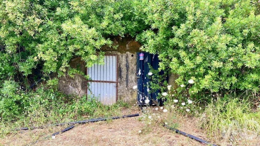 Terreno para Venda em São Brás de Alportel Foto 4