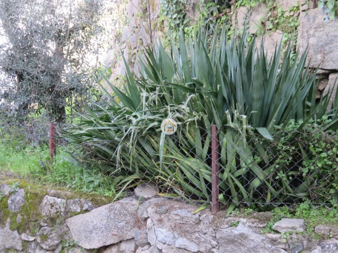 Moradia T1 para Venda em Três Povos Foto 30