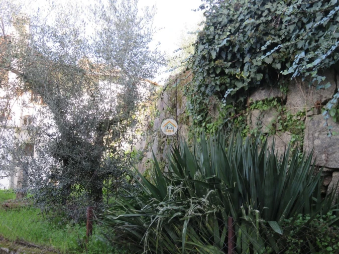 Moradia T1 para Venda em Três Povos Foto 27