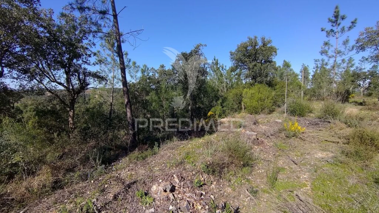Terreno para Venda em Santa Margarida da Coutada Foto 3