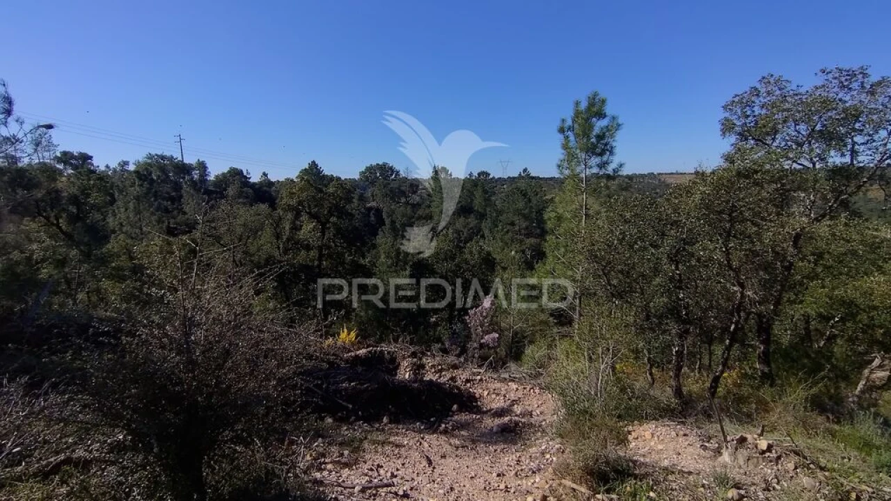 Terreno para Venda em Santa Margarida da Coutada Foto 9