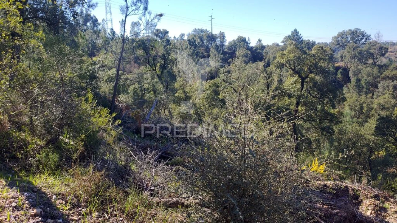 Terreno para Venda em Santa Margarida da Coutada Foto 8