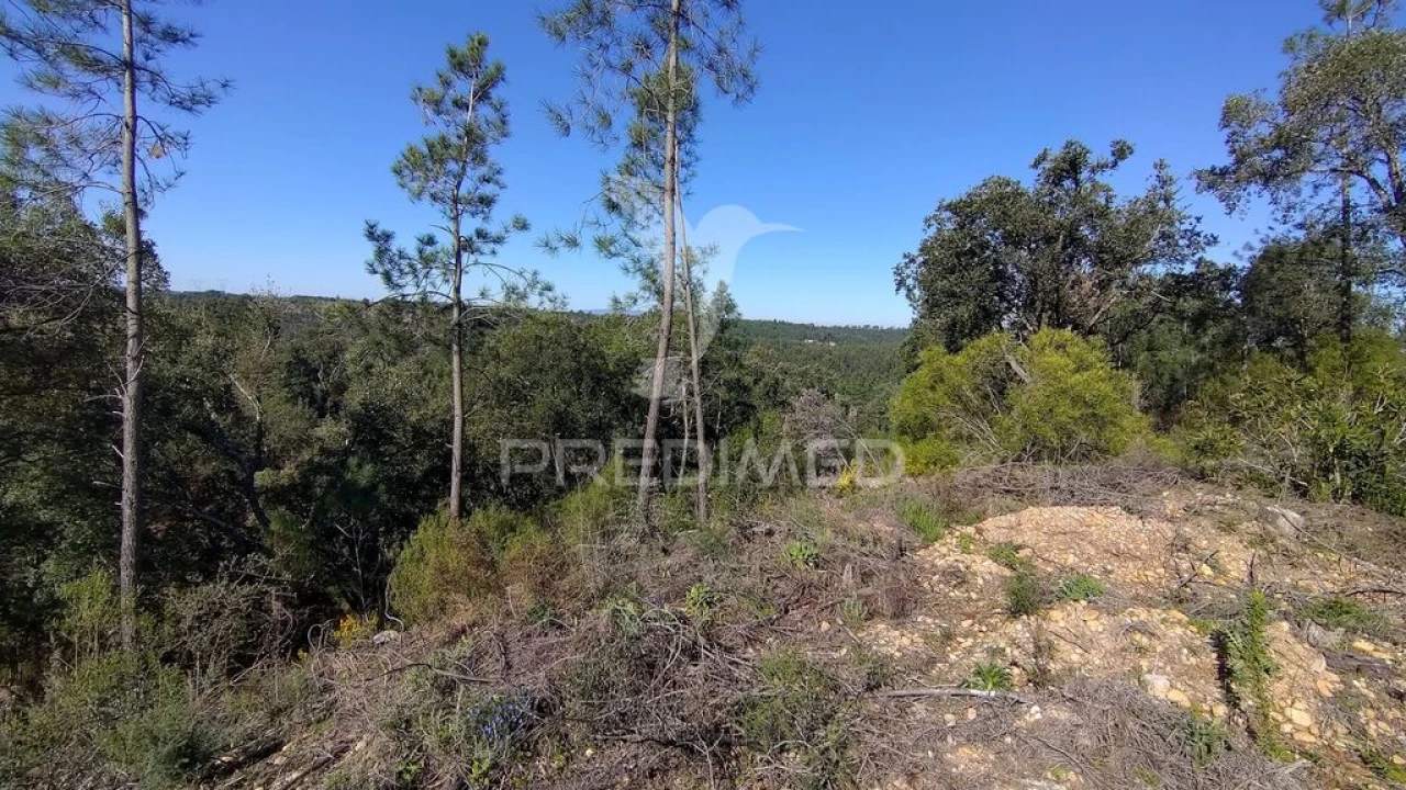 Terreno para Venda em Santa Margarida da Coutada Foto 2