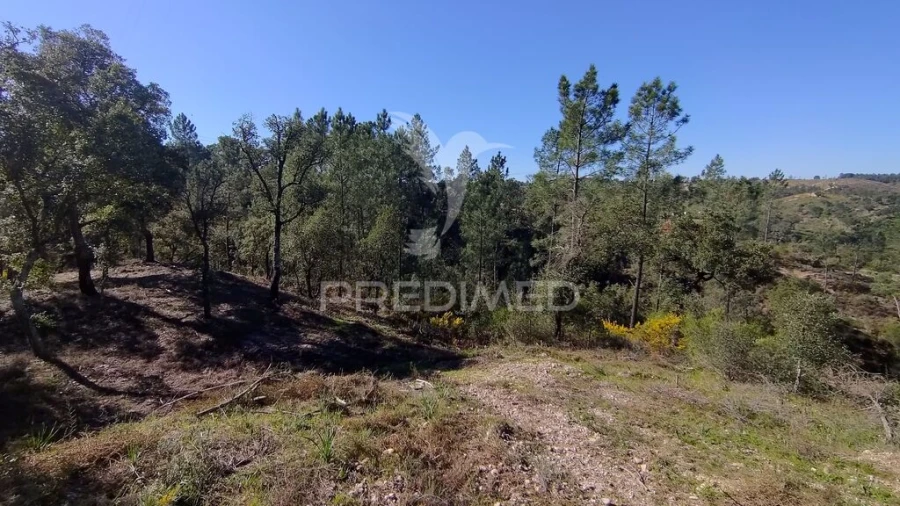 Terreno para Venda em Santa Margarida da Coutada Foto 14