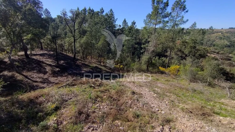 Terreno para Venda em Santa Margarida da Coutada Foto 13