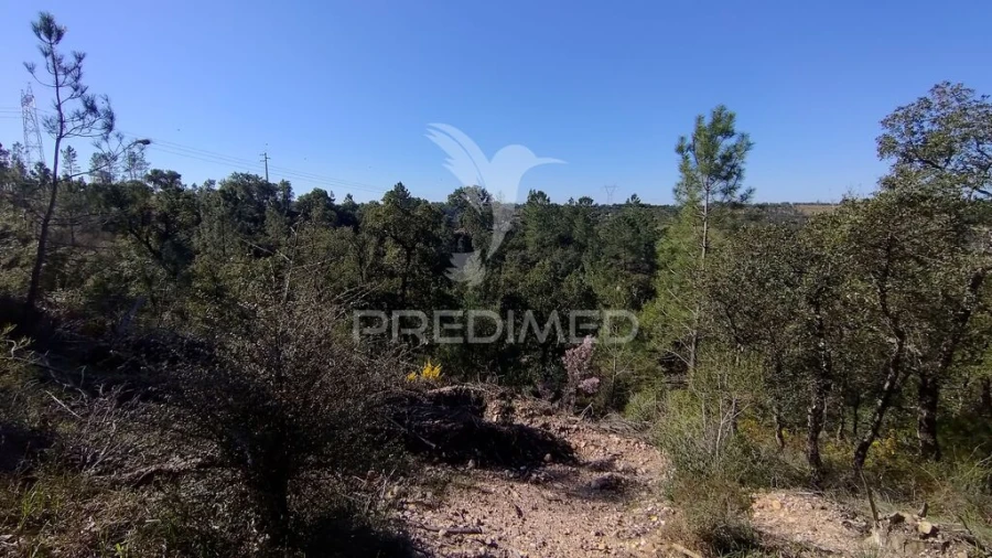Terreno para Venda em Santa Margarida da Coutada Foto 6