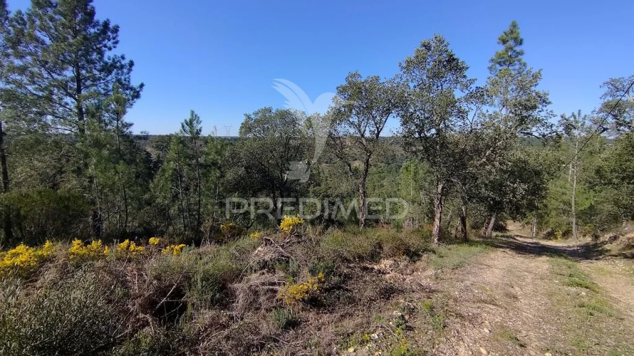 Terreno para Venda em Santa Margarida da Coutada Foto 5