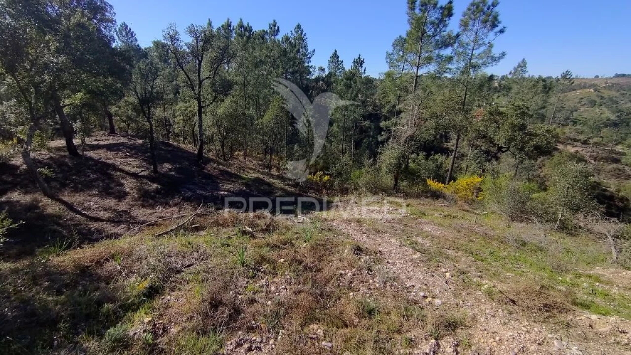 Terreno para Venda em Santa Margarida da Coutada Foto 13