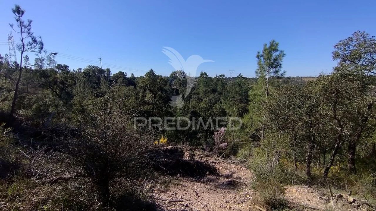 Terreno para Venda em Santa Margarida da Coutada Foto 6