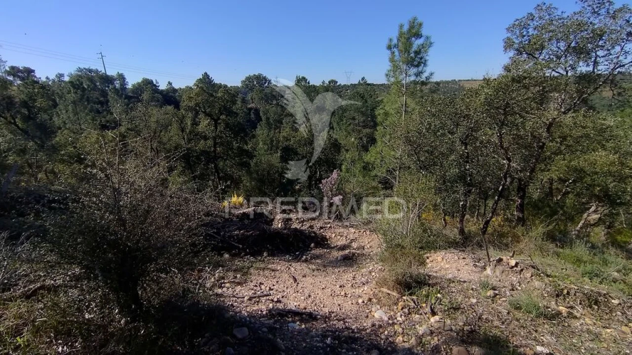 Terreno para Venda em Santa Margarida da Coutada Foto 10