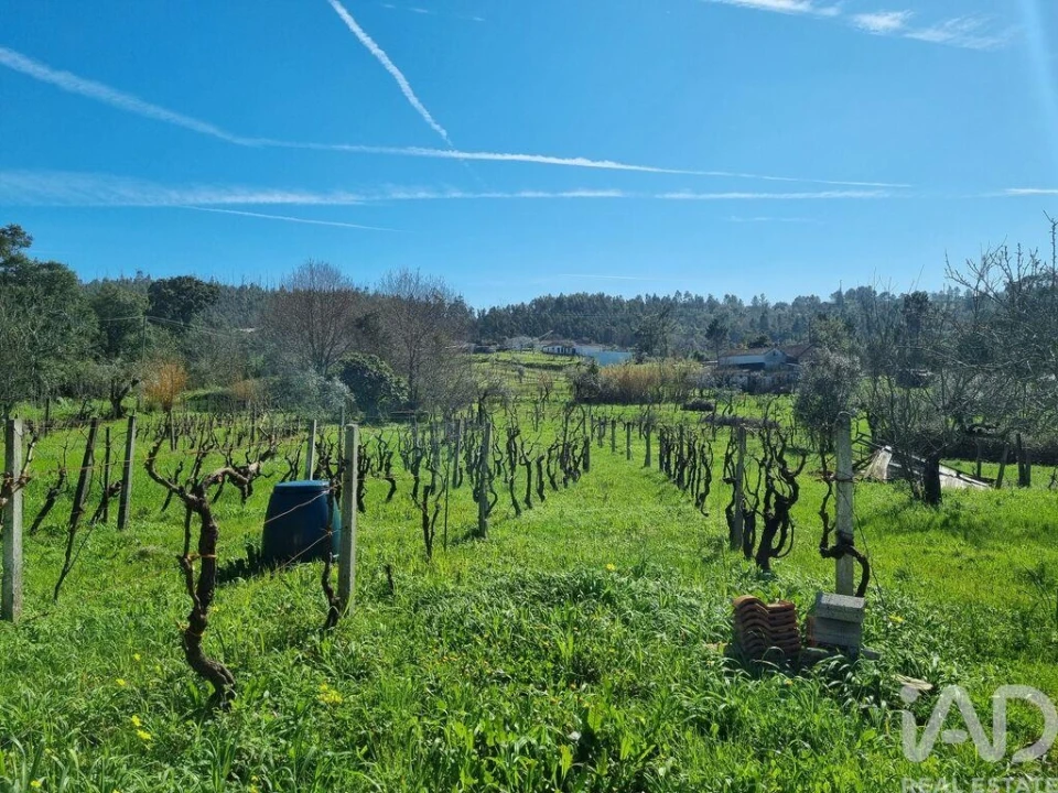 Moradia T2 para Venda em São Miguel de Poiares Foto 40