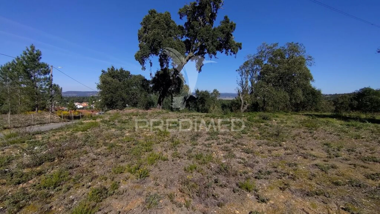 Terreno para Venda em Santa Margarida da Coutada Foto 1