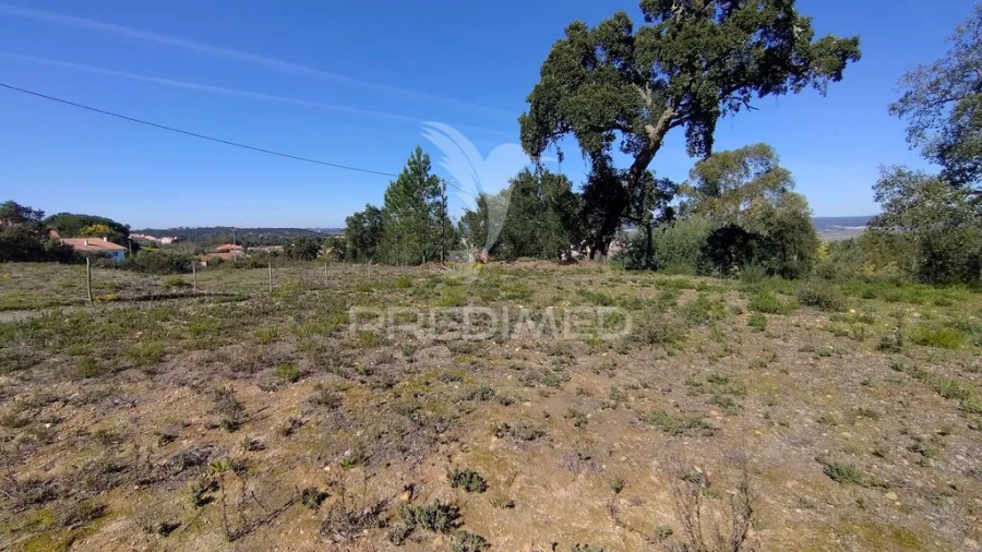 Terreno para Venda em Santa Margarida da Coutada Foto 3