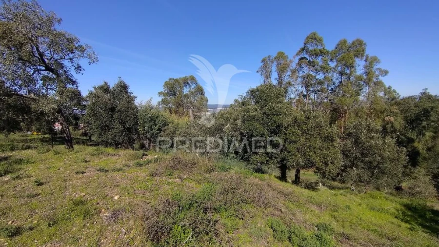 Terreno para Venda em Santa Margarida da Coutada Foto 7